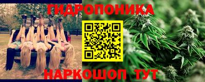 шишки Конаково